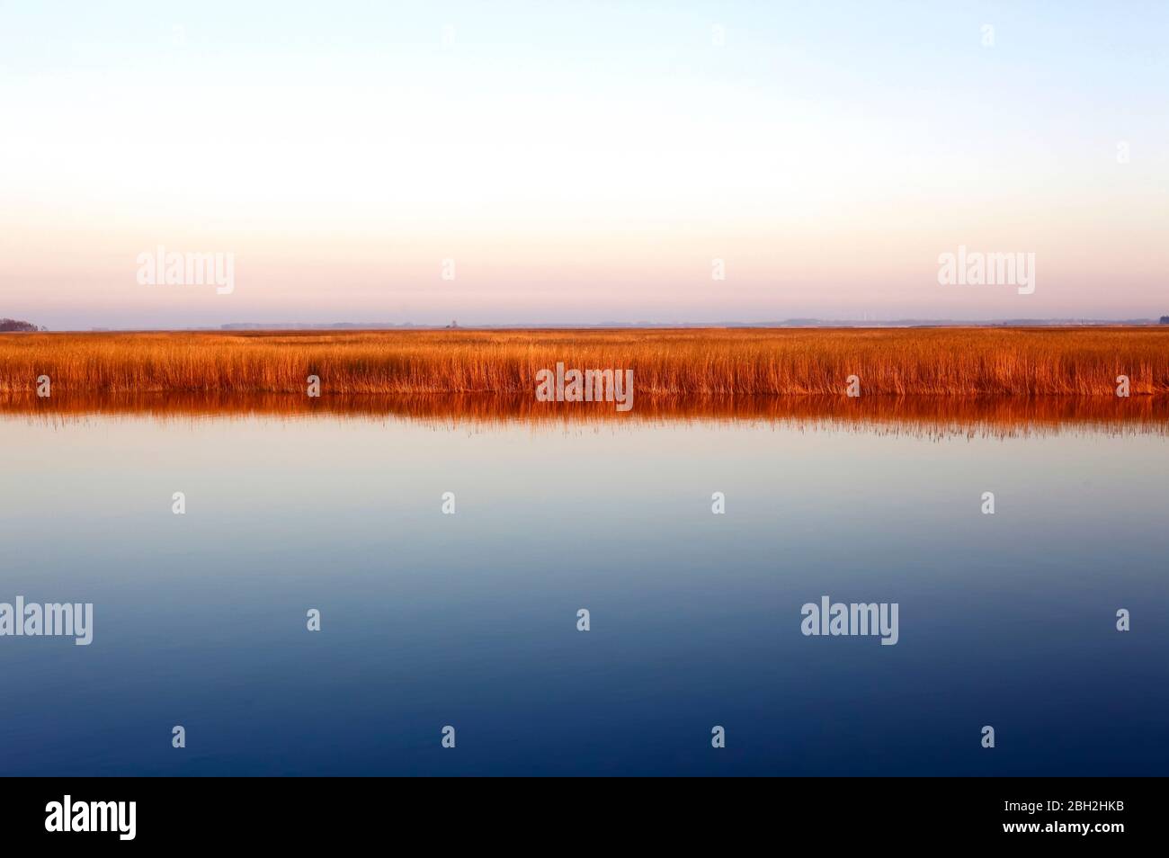 Allemagne, Mecklembourg-Poméranie occidentale, Zingst, ciel clair sur la côte herbeuse de la mer Baltique au crépuscule Banque D'Images