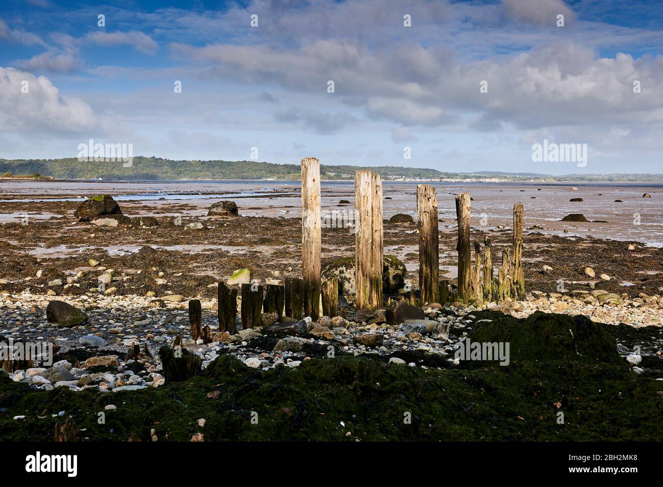 Des groynes pleurées à Gwynedd au nord du Pays de Galles sur la côte d'Aber avec le détroit de Menai en arrière-plan Banque D'Images