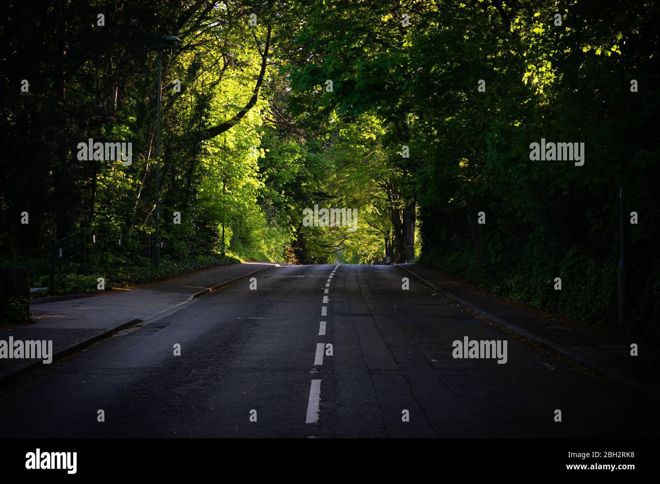 Vue sur une route verdoyante à Winchester, en Angleterre, dans un après-midi ensoleillé de printemps. Banque D'Images