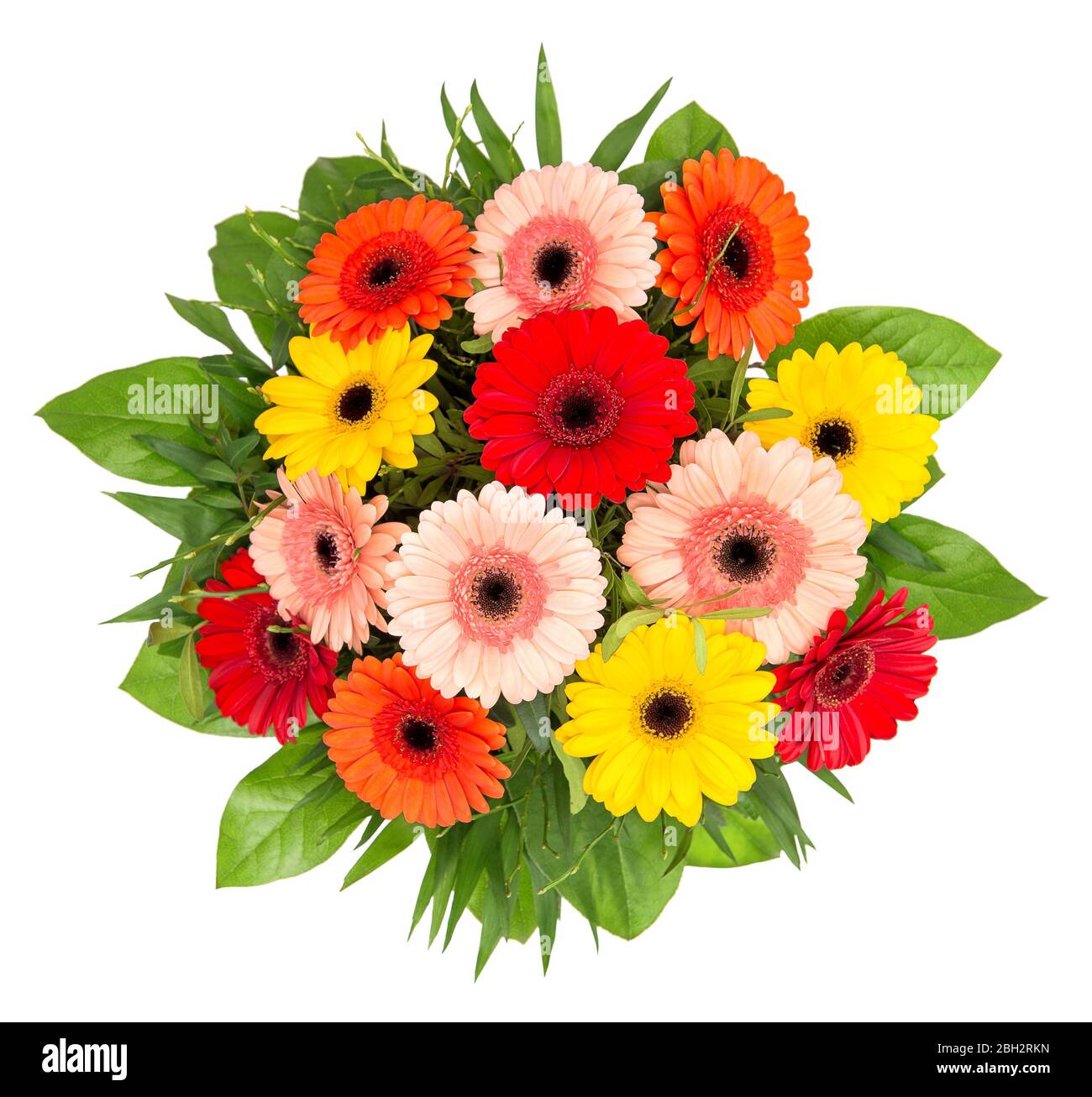 Gerbera fleurs bouquet isolé sur fond blanc. Têtes de fleurs rouges, jaunes, roses, orange Banque D'Images