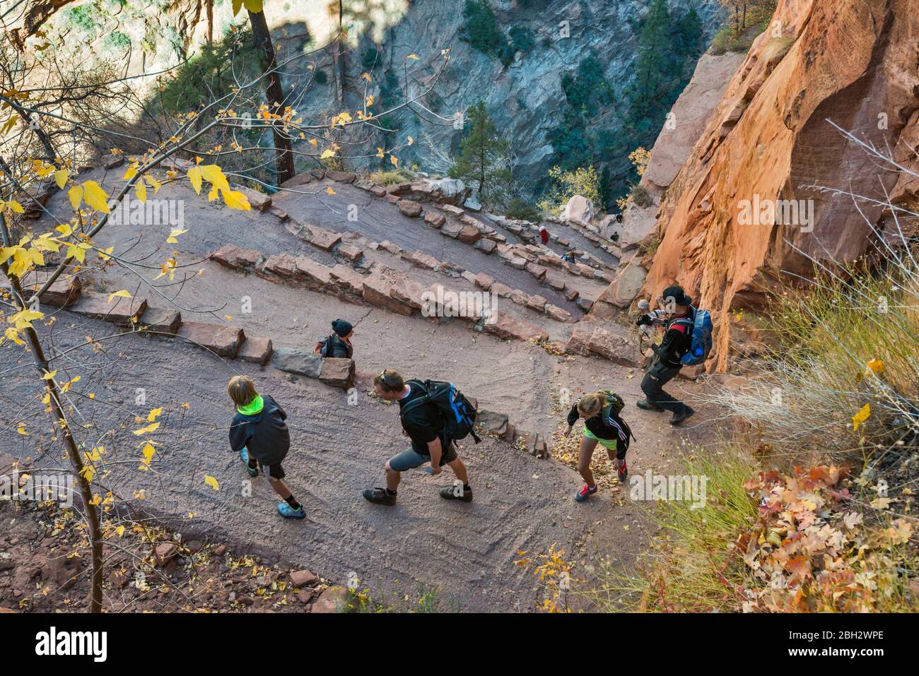 Randonneurs à Angels Landing Trail, Walters se trémousse Scout Lookout, lacets près de Zion National Park, Utah, USA Banque D'Images