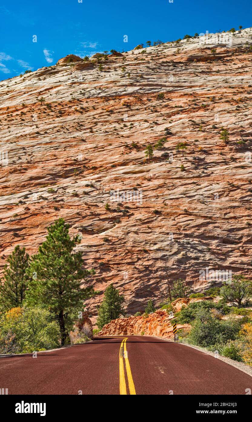 Crossbedded formation slickrock, le long de Sion - Mont Carmel l'Autoroute, Près de l'entrée Est, Zion National Park, Utah, USA Banque D'Images