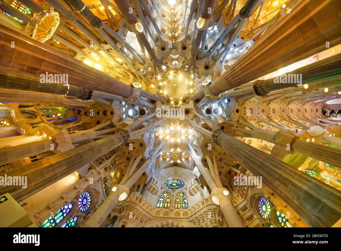 Plafond de la cathédrale de la Sagrada Familia par Antoni Gaudi, Barcelone Banque D'Images
