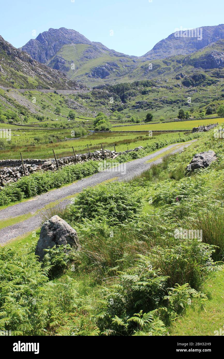 Suivez la vallée du Nant Ffrandon avec les pics de Tryfan et Glydr Fawr comme toile de fond, Snowdonia, Pays de Galles Banque D'Images