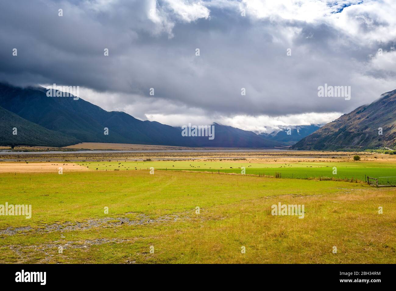 Montagne, collines, plaines, prairies, prairies, champs et rivière qui coule. Vallée de la rivière Waimakariri, près du col Arthur et du lac Pearson, Nouvelle-Zélande. Banque D'Images