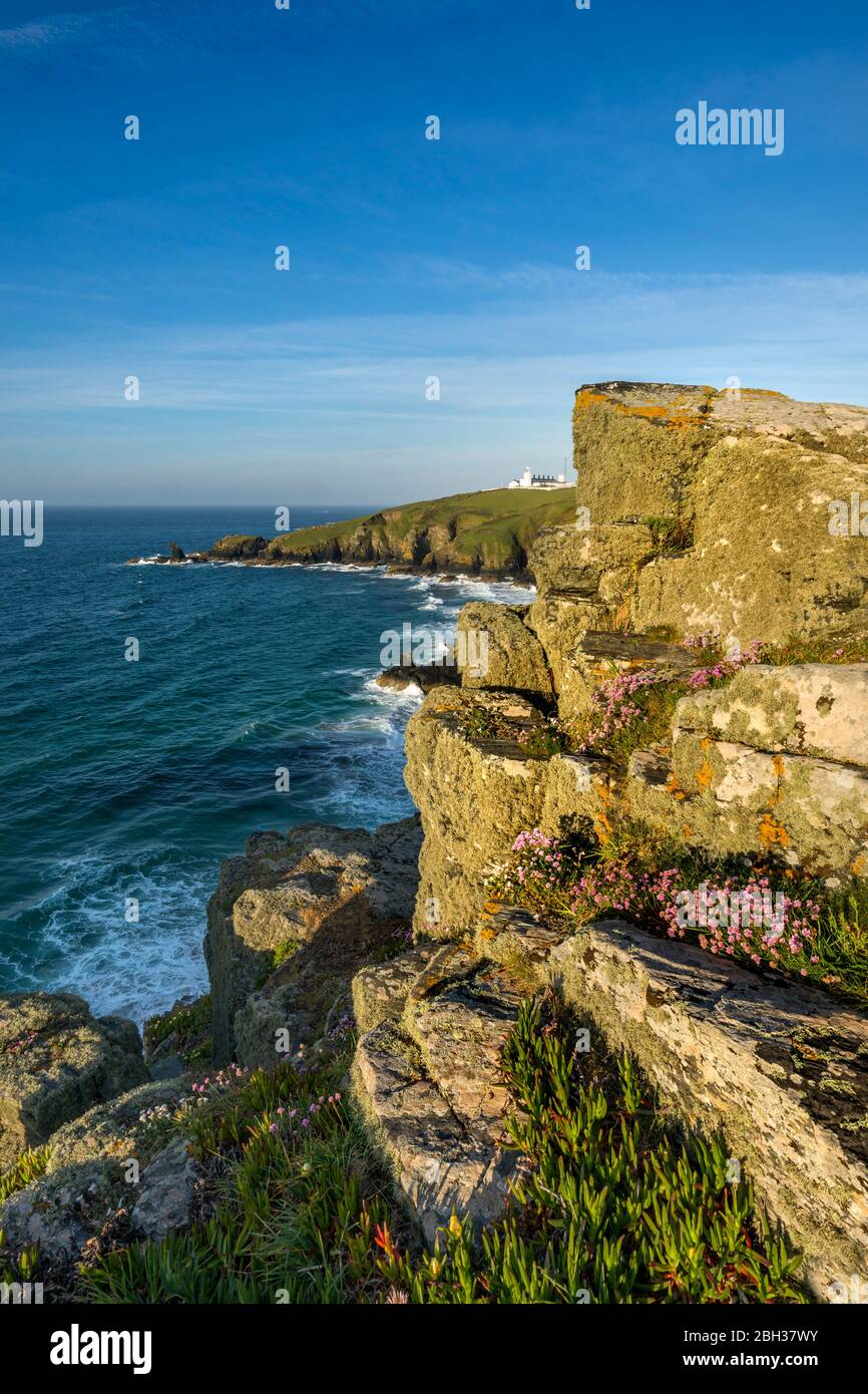 Lézard Housel Bay ; ; ; Cornwall UK Banque D'Images