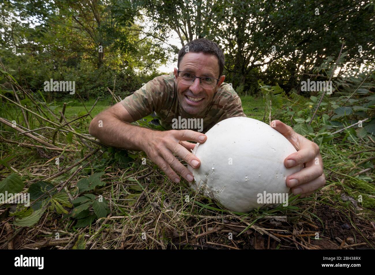 Giant Puffball; Calvatia gigantea; Man Holding champignon; Royaume-Uni Banque D'Images