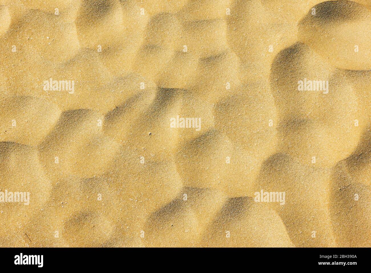Surface ondulée de sable de mer - fond naturel abstrait Banque D'Images