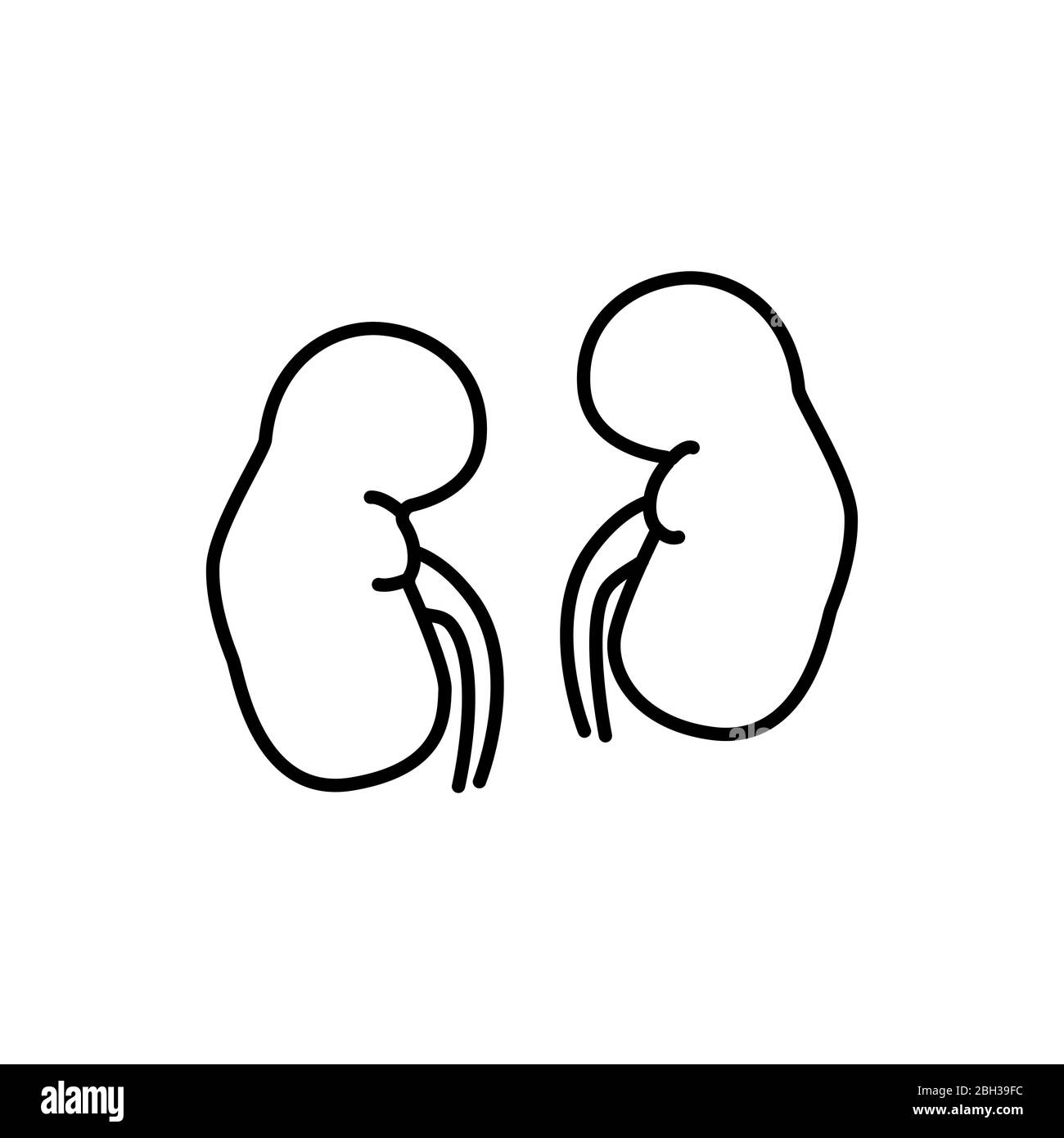 Signe de l'intestin des reins humains. Icône de vecteur de ligne simple. Organe humain interne. Banque D'Images