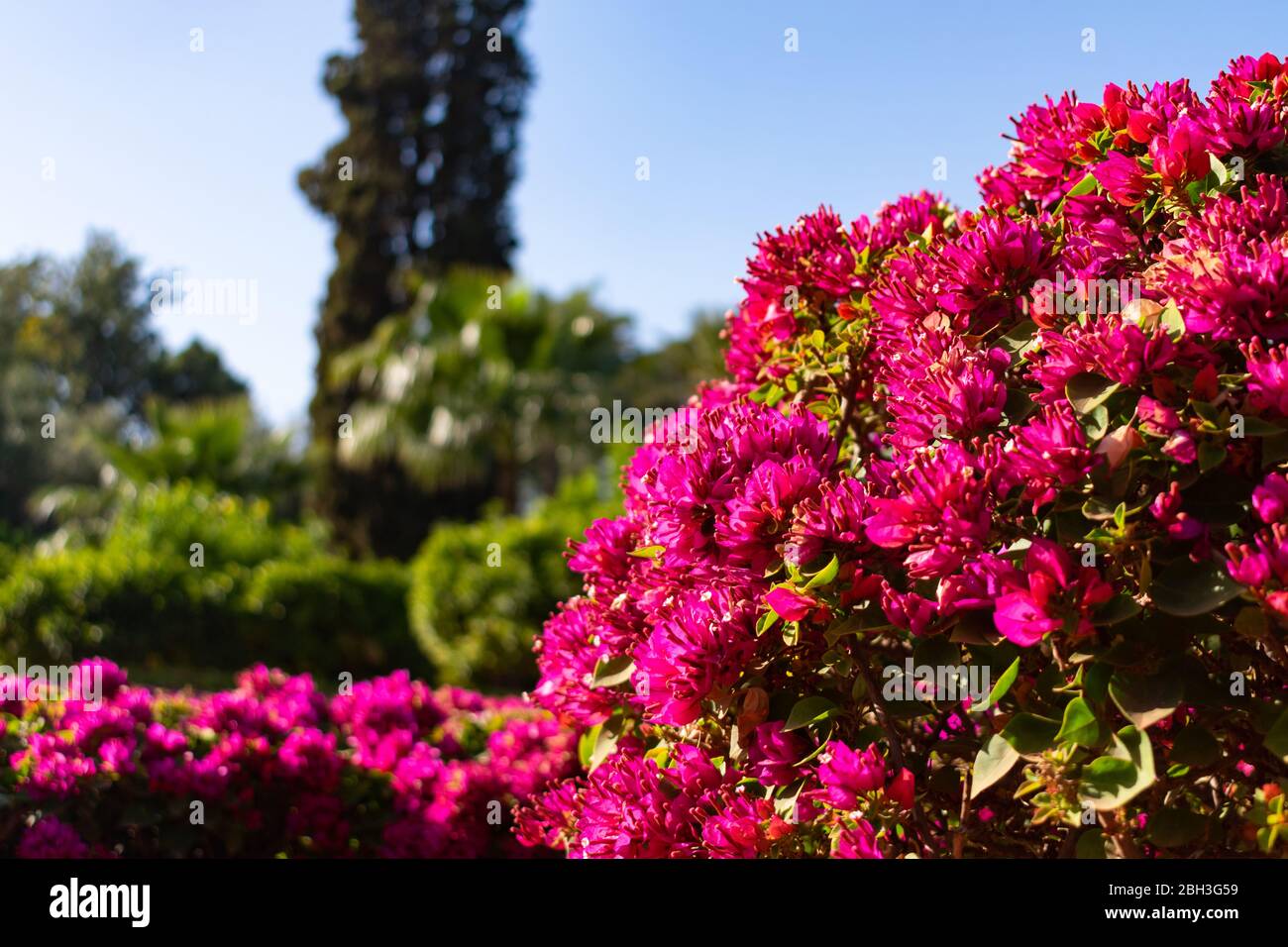 Cyber park Banque de photographies et d’images à haute résolution - Alamy