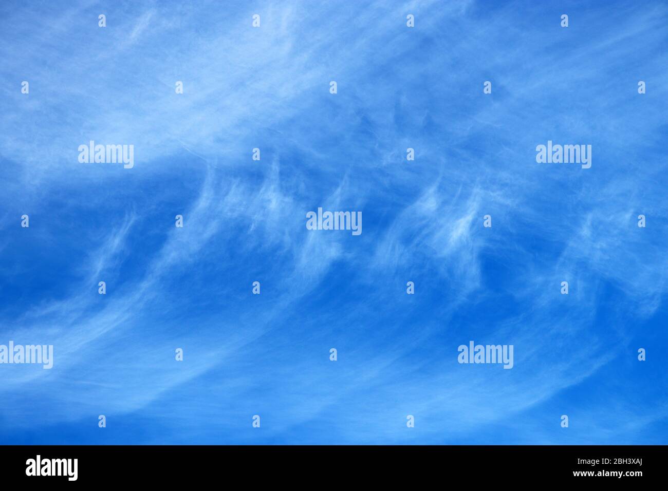 Ciel bleu recouvert de nuages de cirrus blancs. Paysage de printemps, beau milieu météorologique, motif abstrait Banque D'Images