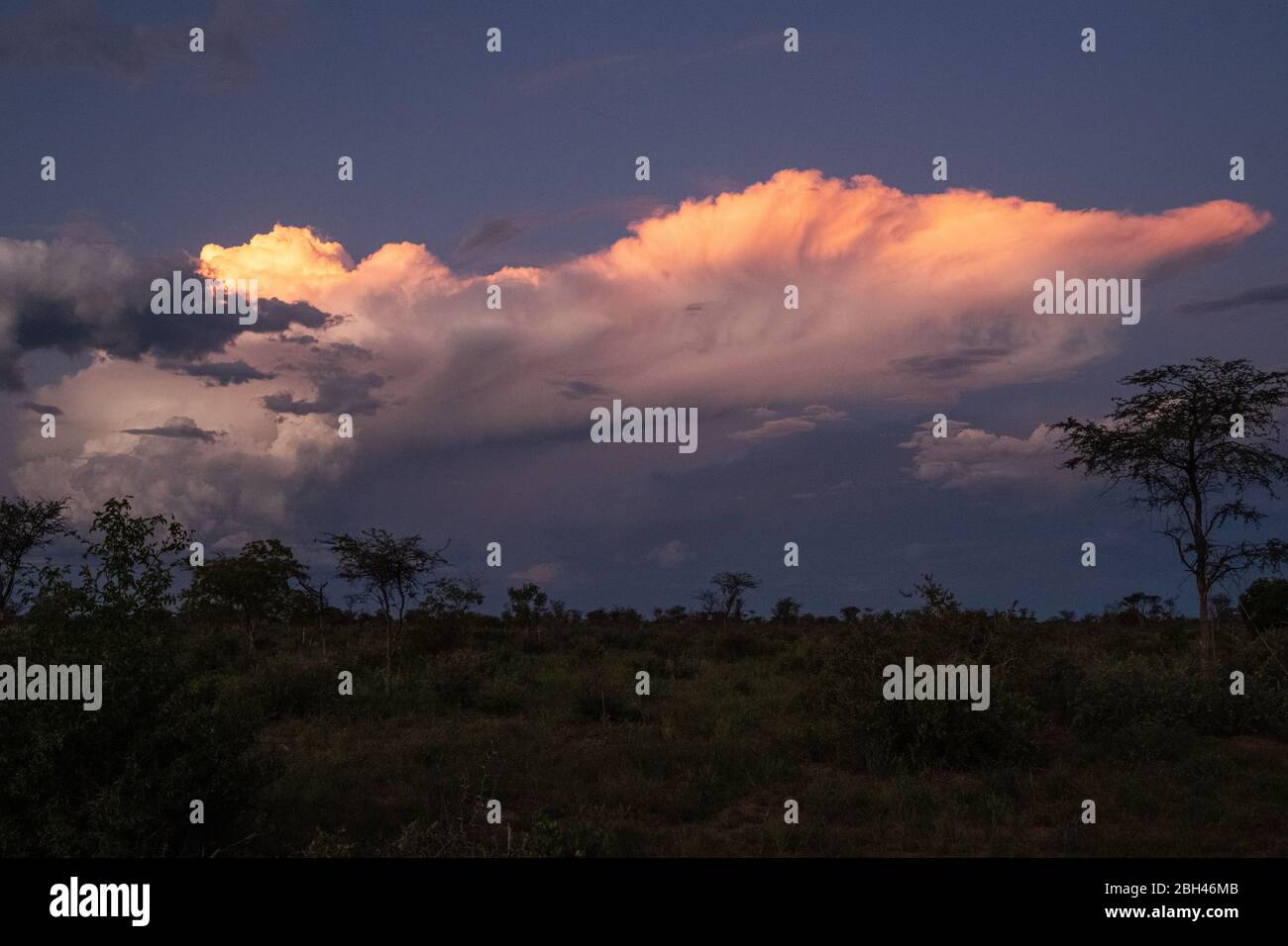 Les derniers rayons du soleil reflètent les nuages dans le Kalahari, en Namibie. Banque D'Images