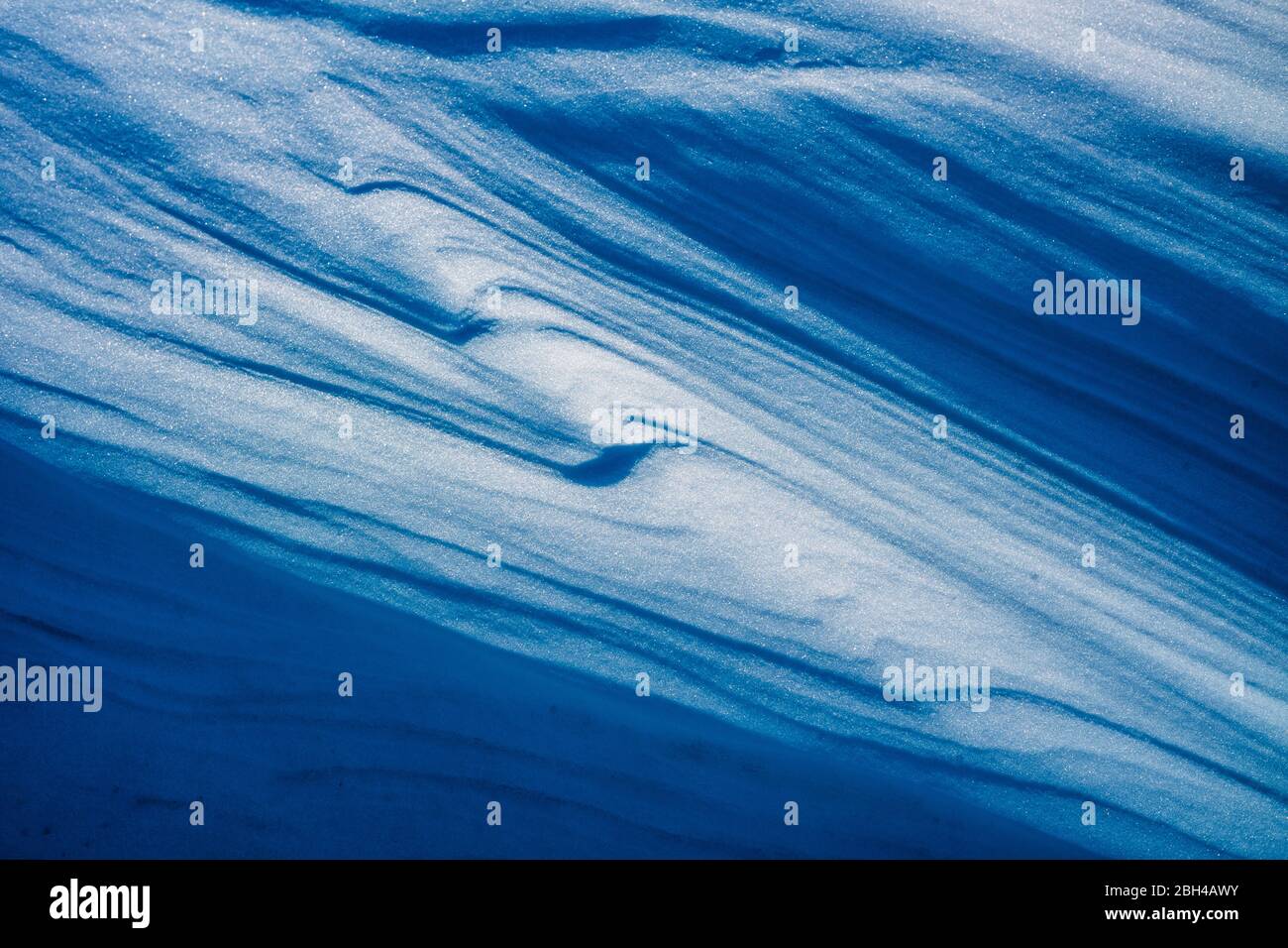 Le vent bleu frigid a balayé la neige Banque D'Images