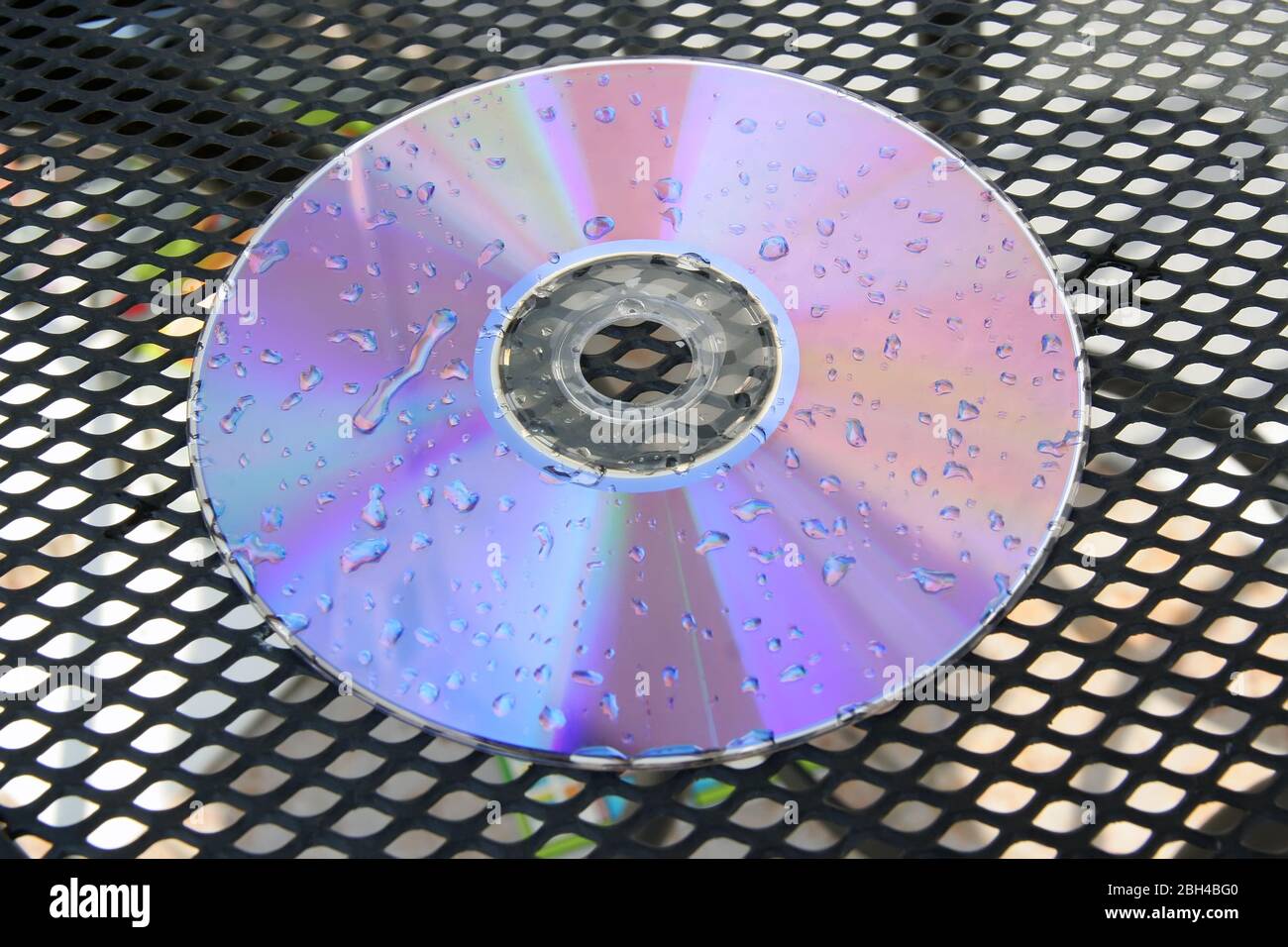 Disque CD humide. Disque DVD humide. Gouttes d'eau sur disque. Banque D'Images