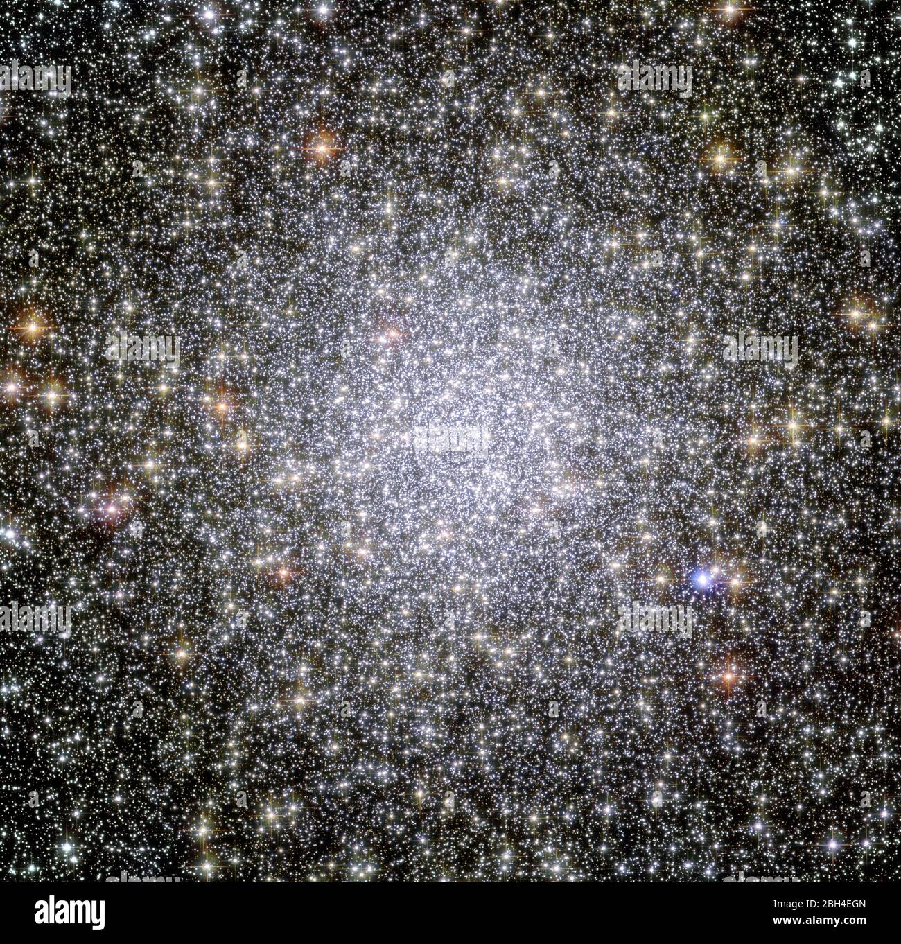 Cette image du télescope spatial Hubble de la NASA/ESA montre un groupe globulaire connu sous le nom de NGC 104, ou plus souvent 47 Tucanae, puisqu'elle fait partie de la constellation de Tucana (le Toucan) dans le ciel sud. Après Omega Centauri, c'est le groupe globulaire le plus lumineux du ciel nocturne, accueillant des dizaines de milliers d'étoiles. Les scientifiques utilisant Hubble ont observé les naines blanches dans le groupe. Ces étoiles mourantes migrent du centre bondé du cluster à sa périphérie. Alors que les astronomes savaient ce processus, ils ne l'avaient jamais vu en action jusqu'à l'étude détaillée de 47 Tucanae. Banque D'Images
