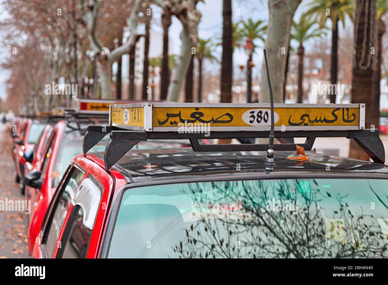 Fez, Maroc - 20 janvier 2019: Rangée de taxis rouges stationnés dans le centre ville. Banque D'Images