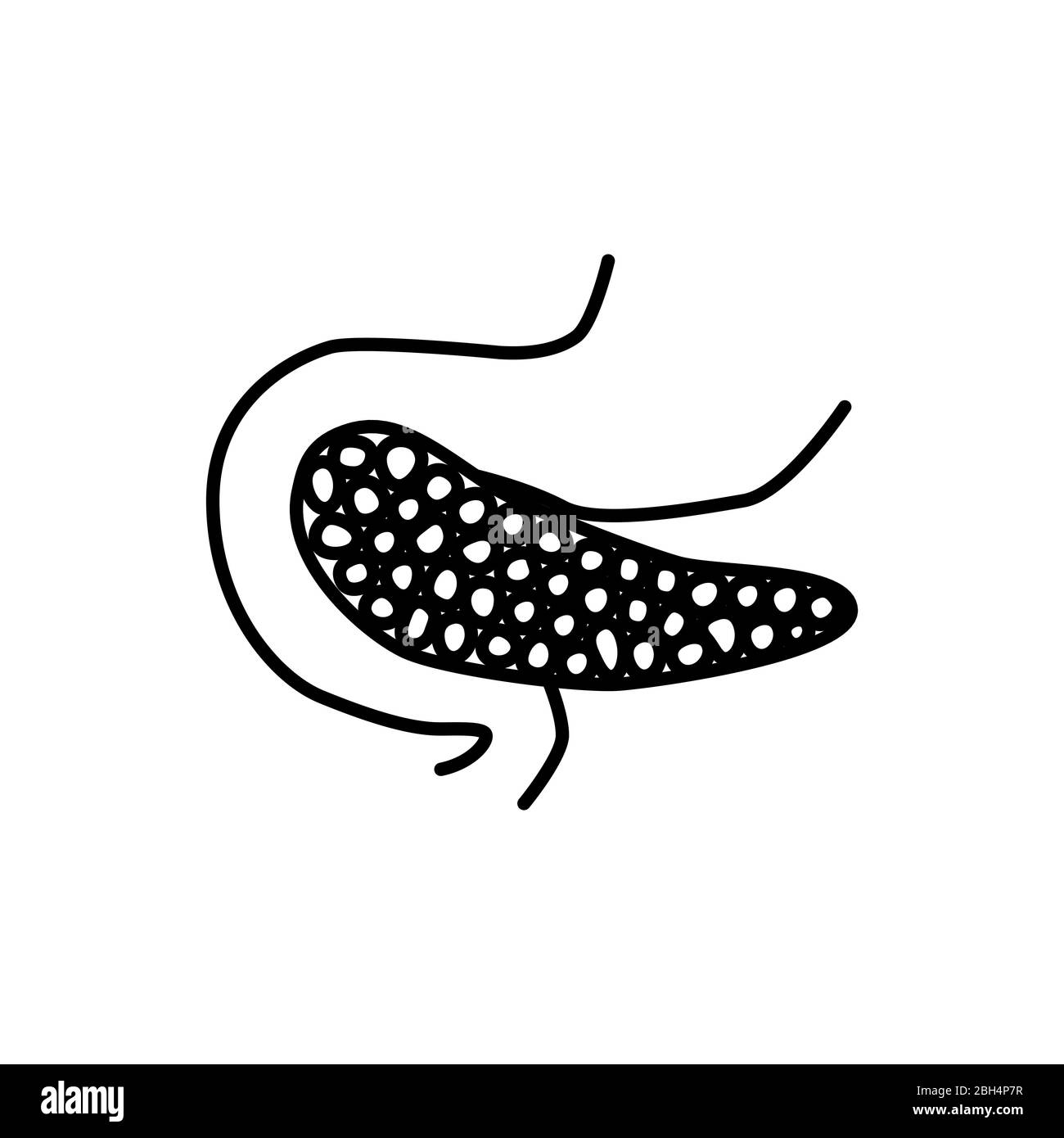 Signe du pancréas de l'intestin humain. Icône de vecteur de ligne simple. Organe humain interne. Illustration de Vecteur