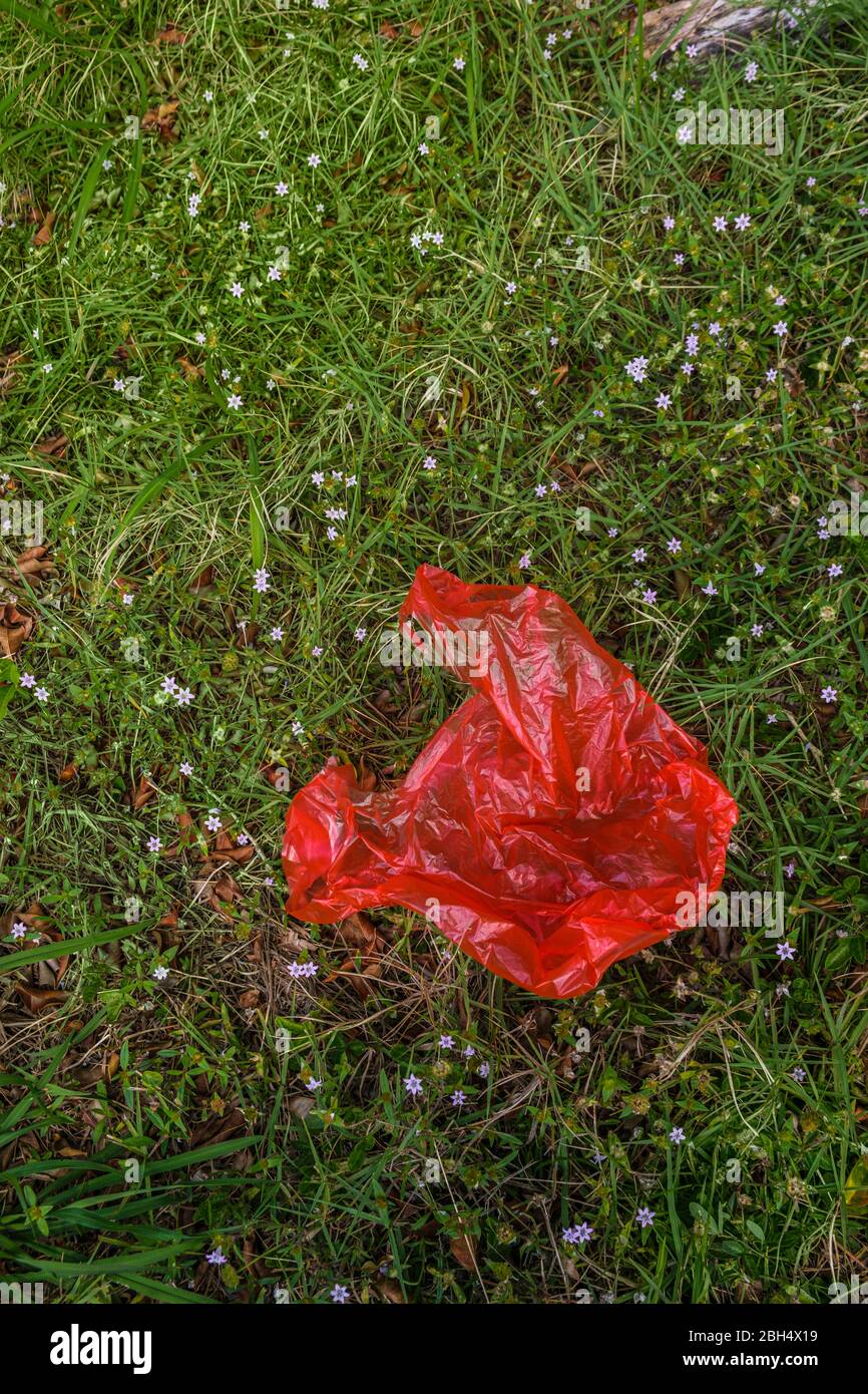 Sac en plastique rouge sur l'herbe Banque D'Images