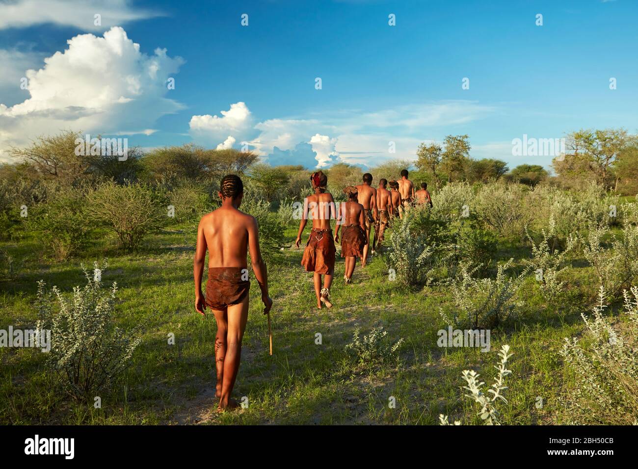 Randonnée éducative avec San People, Ghanzi, Botswana, Afrique Banque D'Images