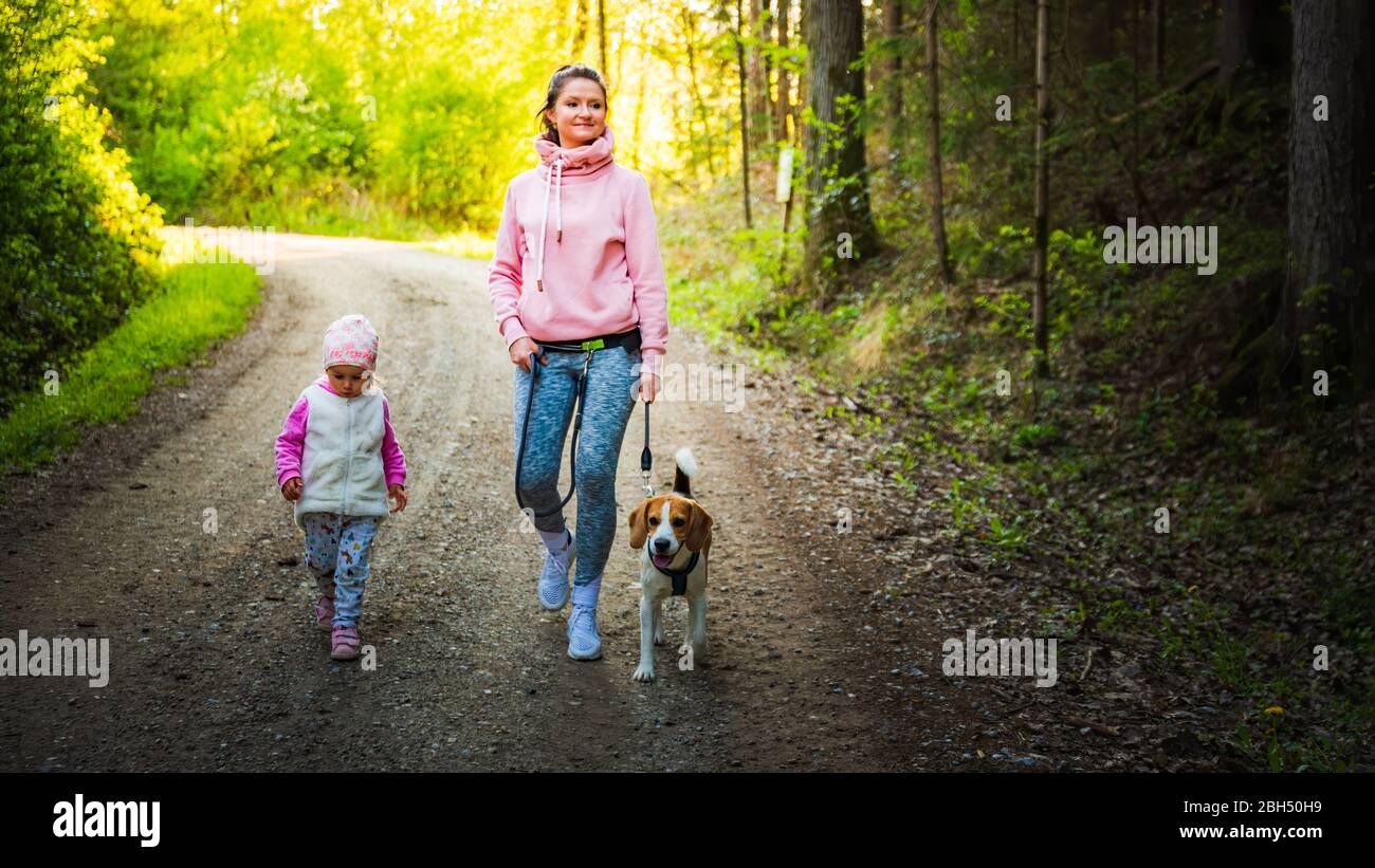 Jeune mère avec enfant et chien marchant ensemble sur le chemin du pays dans la forêt. Gai 2 ans en plein air. Banque D'Images