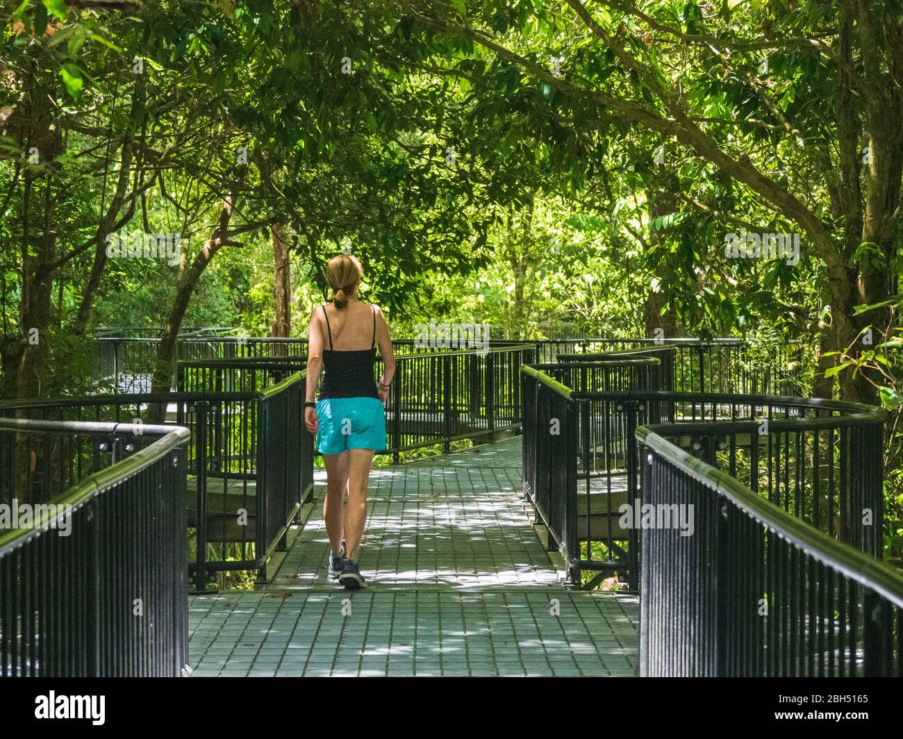 Femme marchant sur un sentier en forêt Banque D'Images