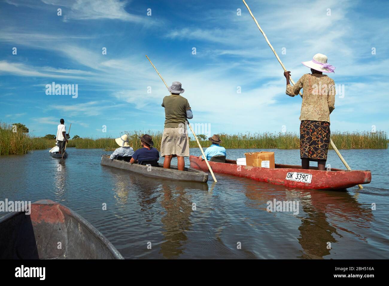 Les touristes étant polés cependant dans mokoros (dugout canoes), le Delta d'Okavango, Botswana, Afrique Banque D'Images
