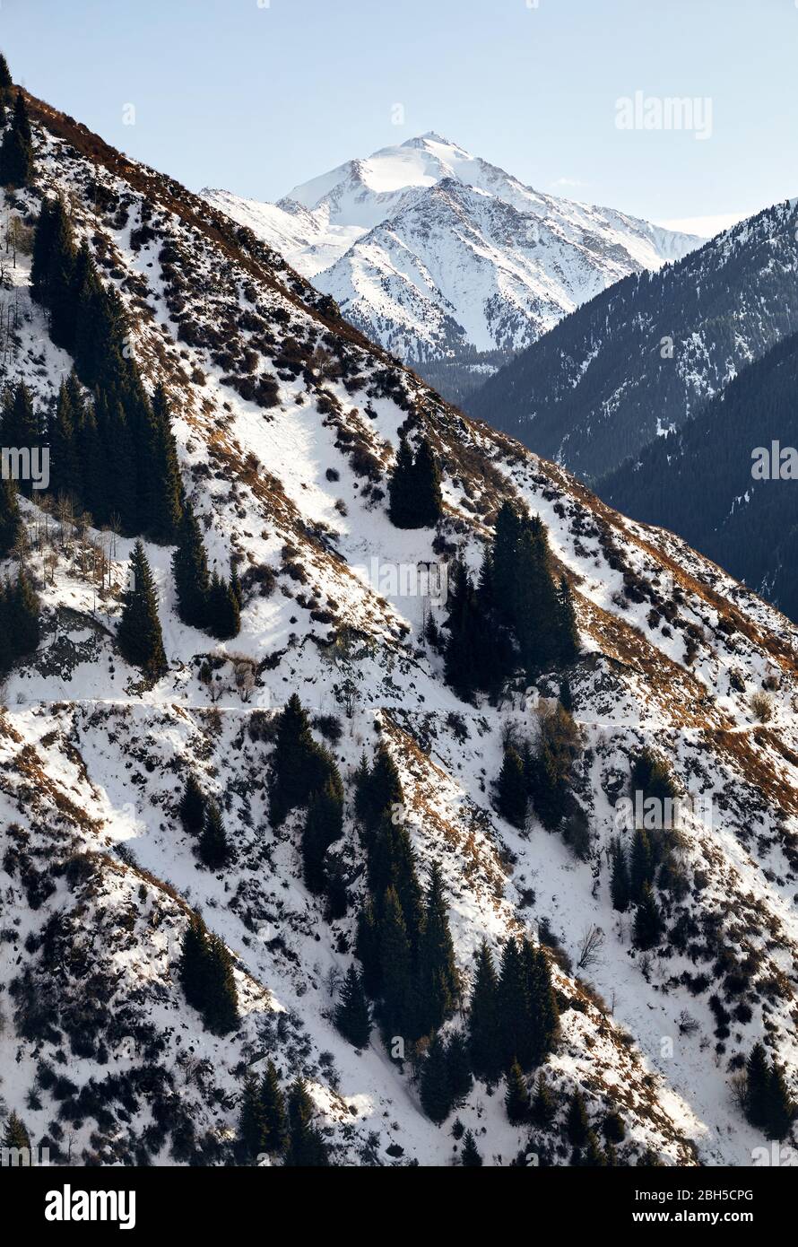 De hautes montagnes avec de la neige et de pins sur un sommet à l'heure d'hiver Banque D'Images