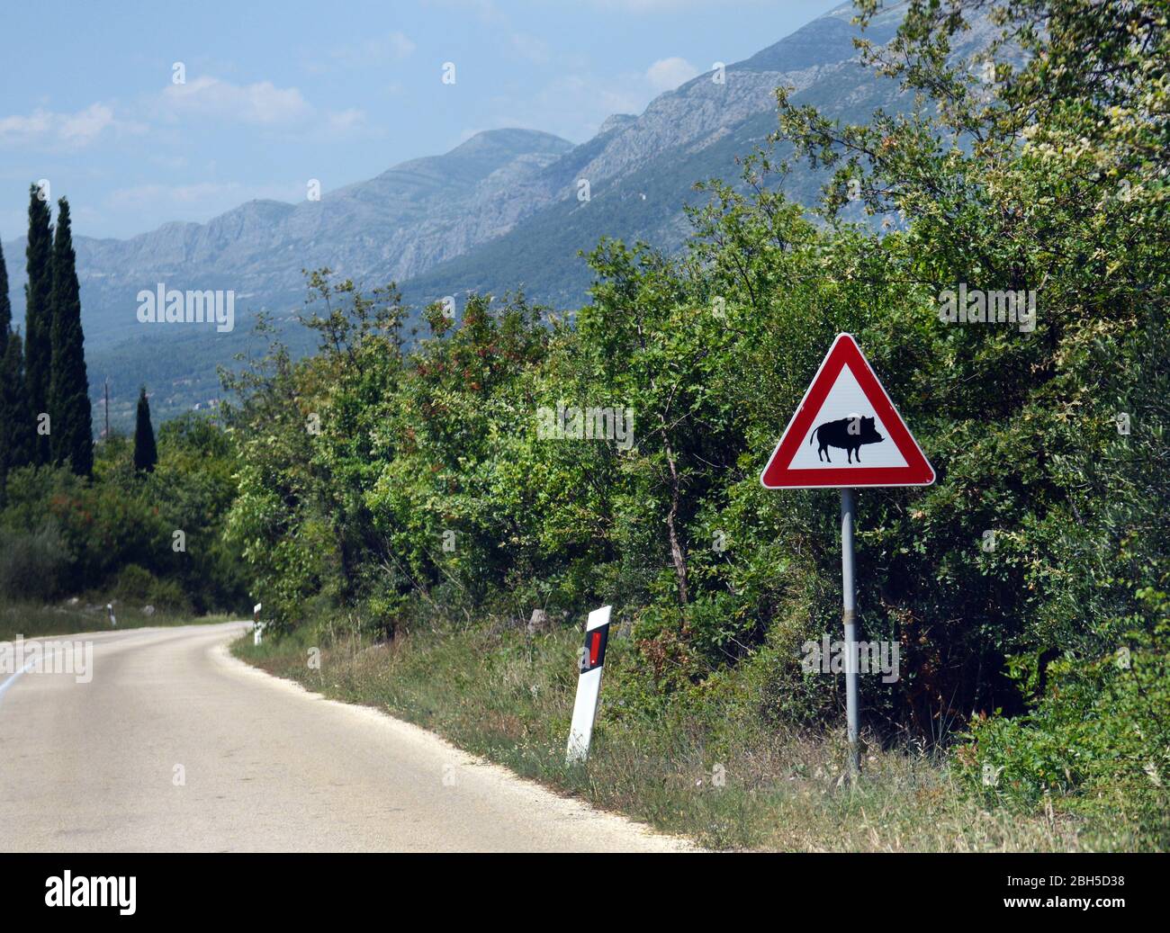 Un sanglier « traversant la route » avertissement sur la route dans le sud de la Croatie. Banque D'Images