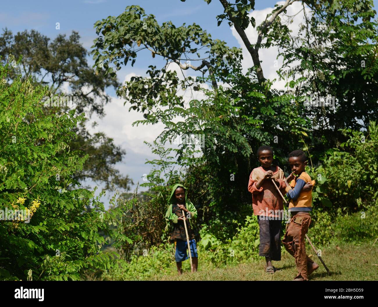 Des garçons éthiopiens se tenant par la route de la terre dans la région de Kaffa en Ethiopie. Banque D'Images