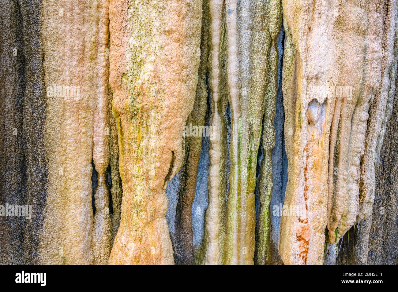 Résumé Hot Water Mineral Deposit Travertine detain, fontaine Tepee, Hot Springs State Park, Thermopolis, Wyoming Banque D'Images