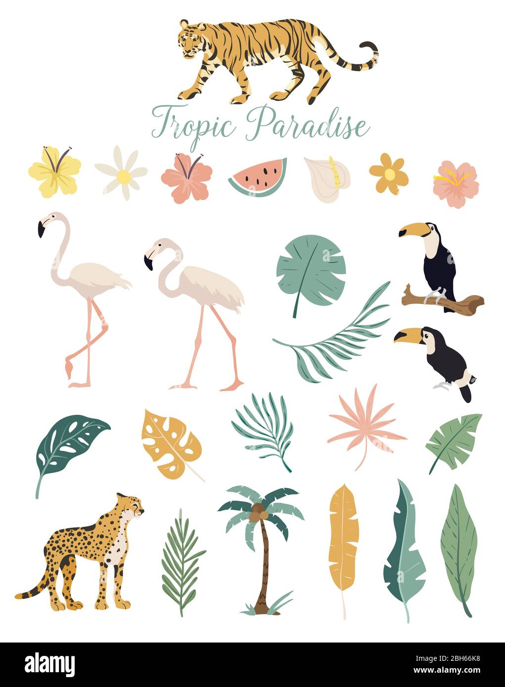 Tropic paradis animaux fleurs et plantes. Ensemble vectoriel de feuilles tropicales. Palmier, monstère, feuille de banane, hibiscus, fleurs de plumeria. Illustration de Vecteur