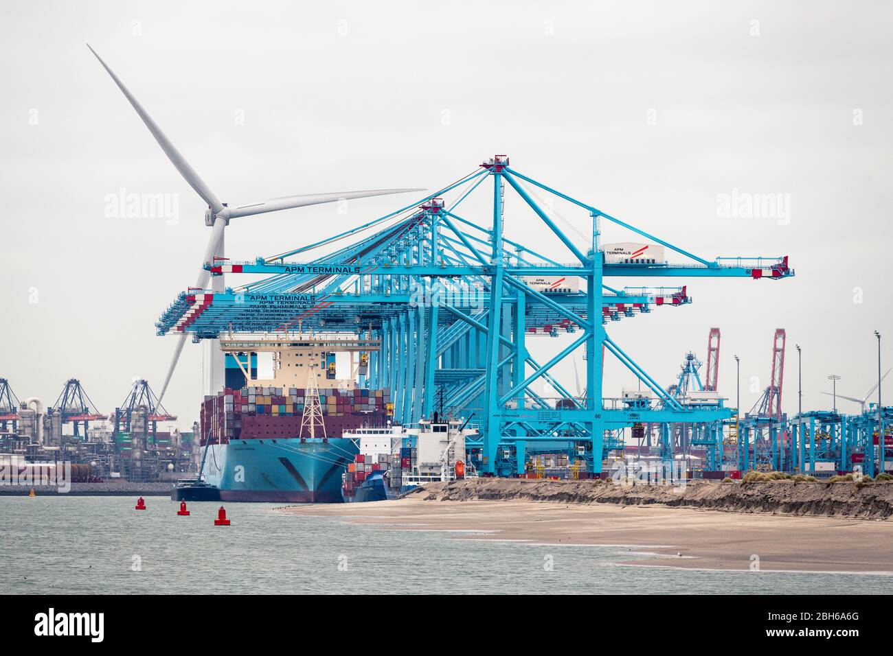 ROTTERDAM, MAASVLAKTE, PAYS-BAS - 15 MARS 2020: Le bateau à conteneurs Madrid Maersk est amarré aux terminaux APM du Maasvlakte , port de Rotte Banque D'Images