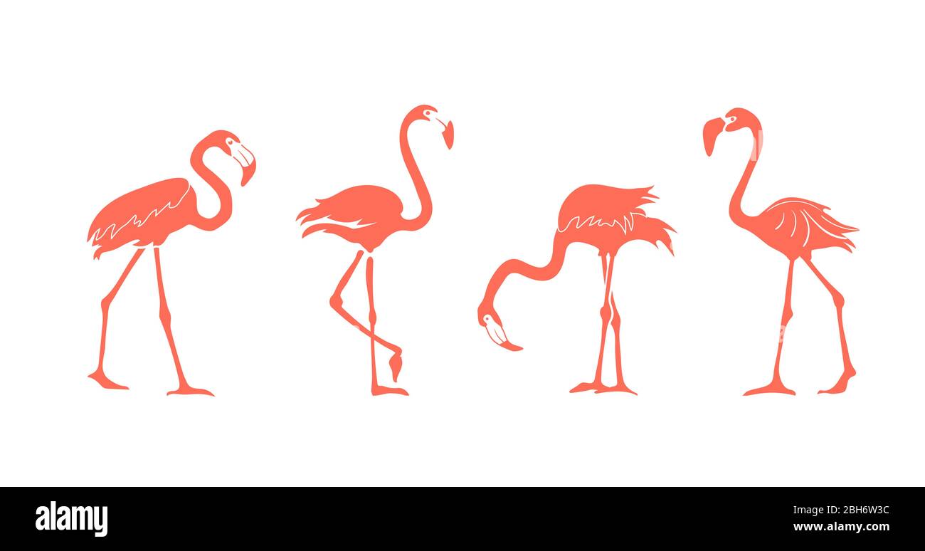 Jeu de vecteurs de silhouette de flamants roses de dessin animé. Jolie collection flamants. Flamingo caractère animal nature exotique faune sauvage. Illustration de Vecteur