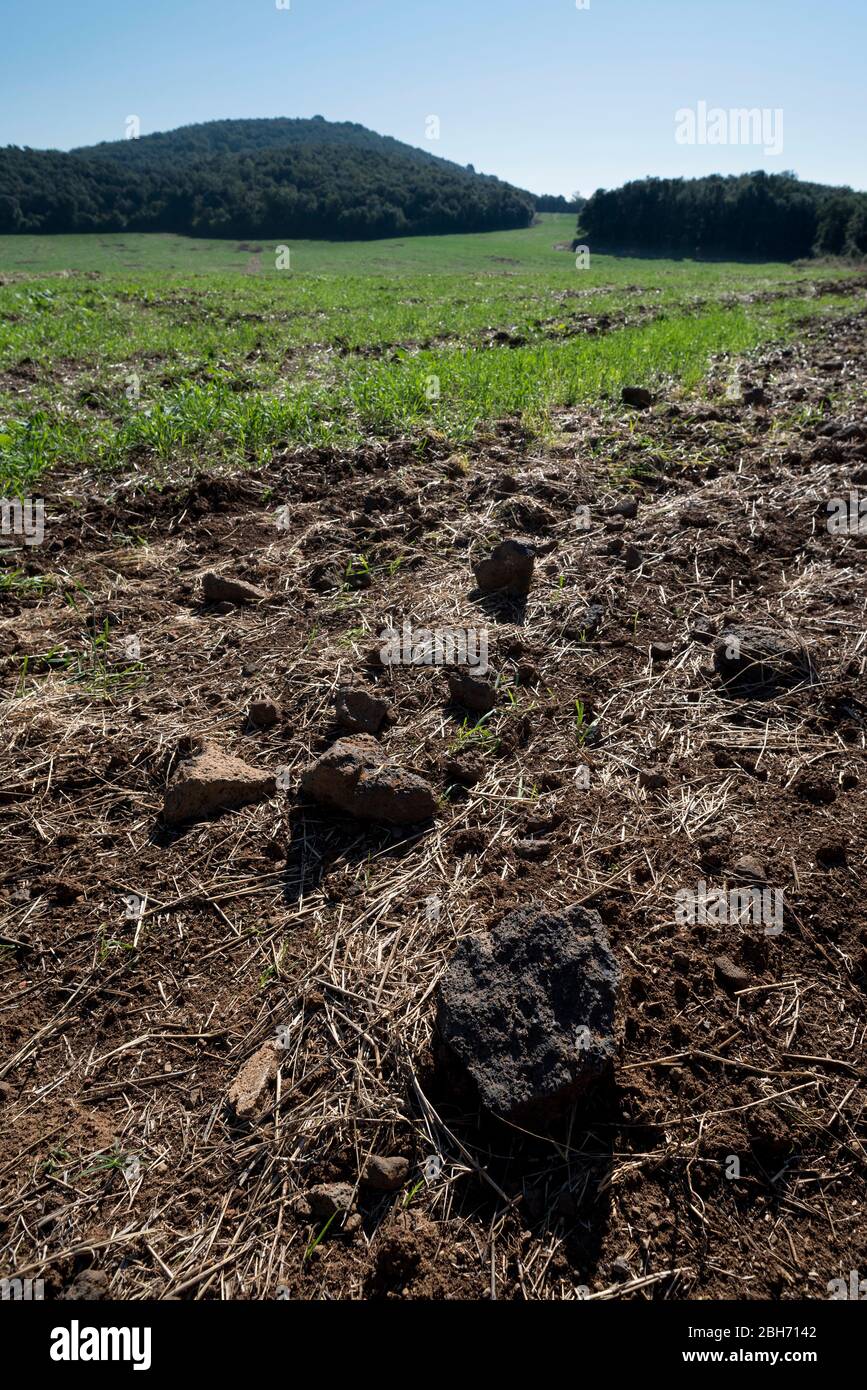 Matériel i Terra volcànica conreda per on va passar la colada de lava del Volcà del Puig d'Adri (al fons el Puig d'Adri), Canet d'Adri, Gironès, Cata Banque D'Images