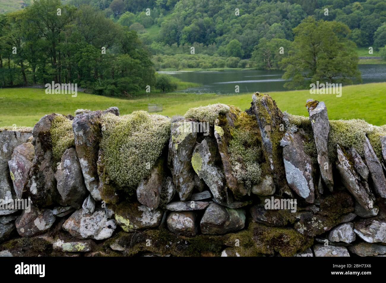 Mur de pierres sèches couvertes de mousse Banque D'Images