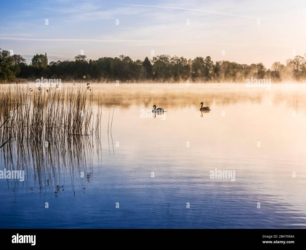 Un lever de soleil misté sur Coate Water à Swindon. Banque D'Images