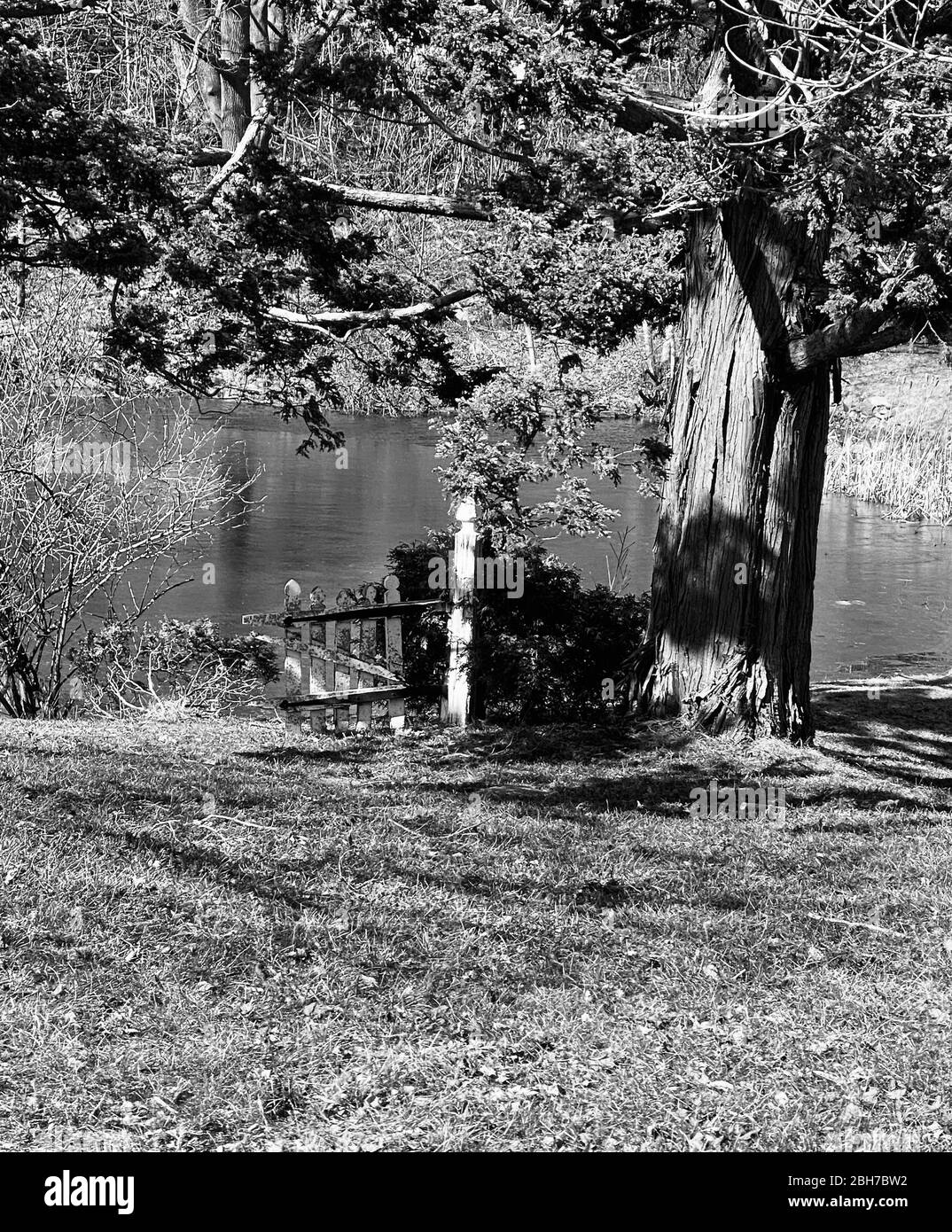 Capture en noir et blanc de la petite porte sur un étang. Banque D'Images