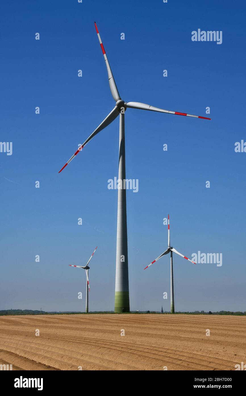 Éoliennes derrière un champ d'asperges à Grevenbroich, Northrine-Westfalia, Allemagne Banque D'Images