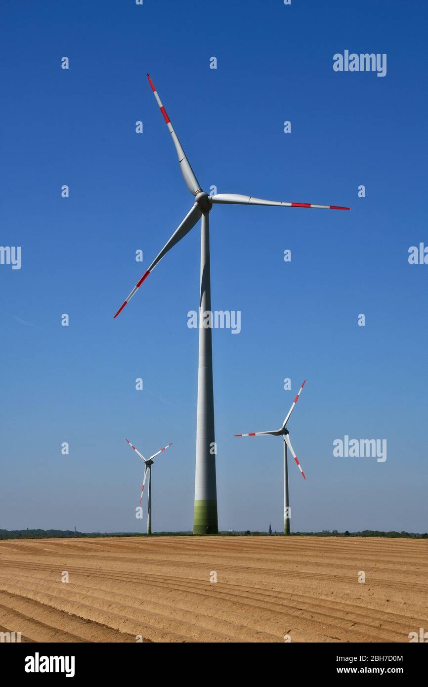 Éoliennes derrière un champ d'asperges à Grevenbroich, Northrine-Westfalia, Allemagne Banque D'Images
