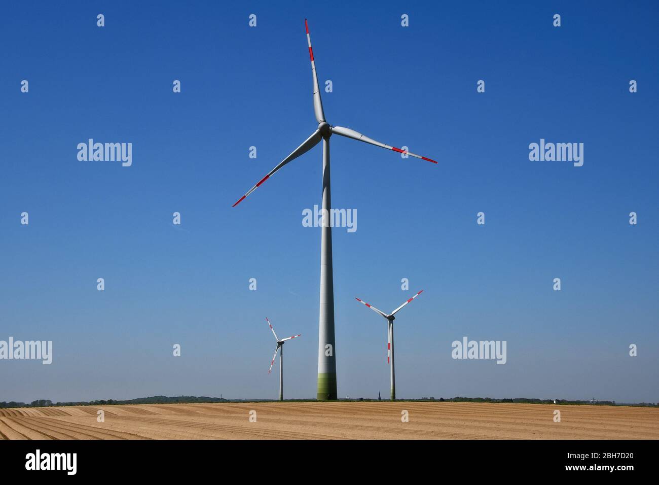 Éoliennes derrière un champ d'asperges à Grevenbroich, Northrine-Westfalia, Allemagne Banque D'Images