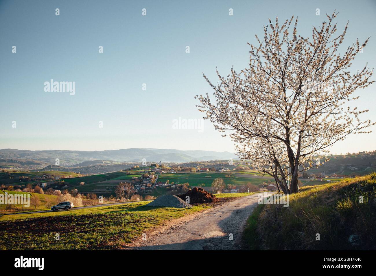 Cerisier Fleuri Dans Le Paysage Rural De Printemps Dans Lumiere Chaude Orange Lever Soleil Beau Paysage Editer L Espace Pour Citation Photo Stock Alamy