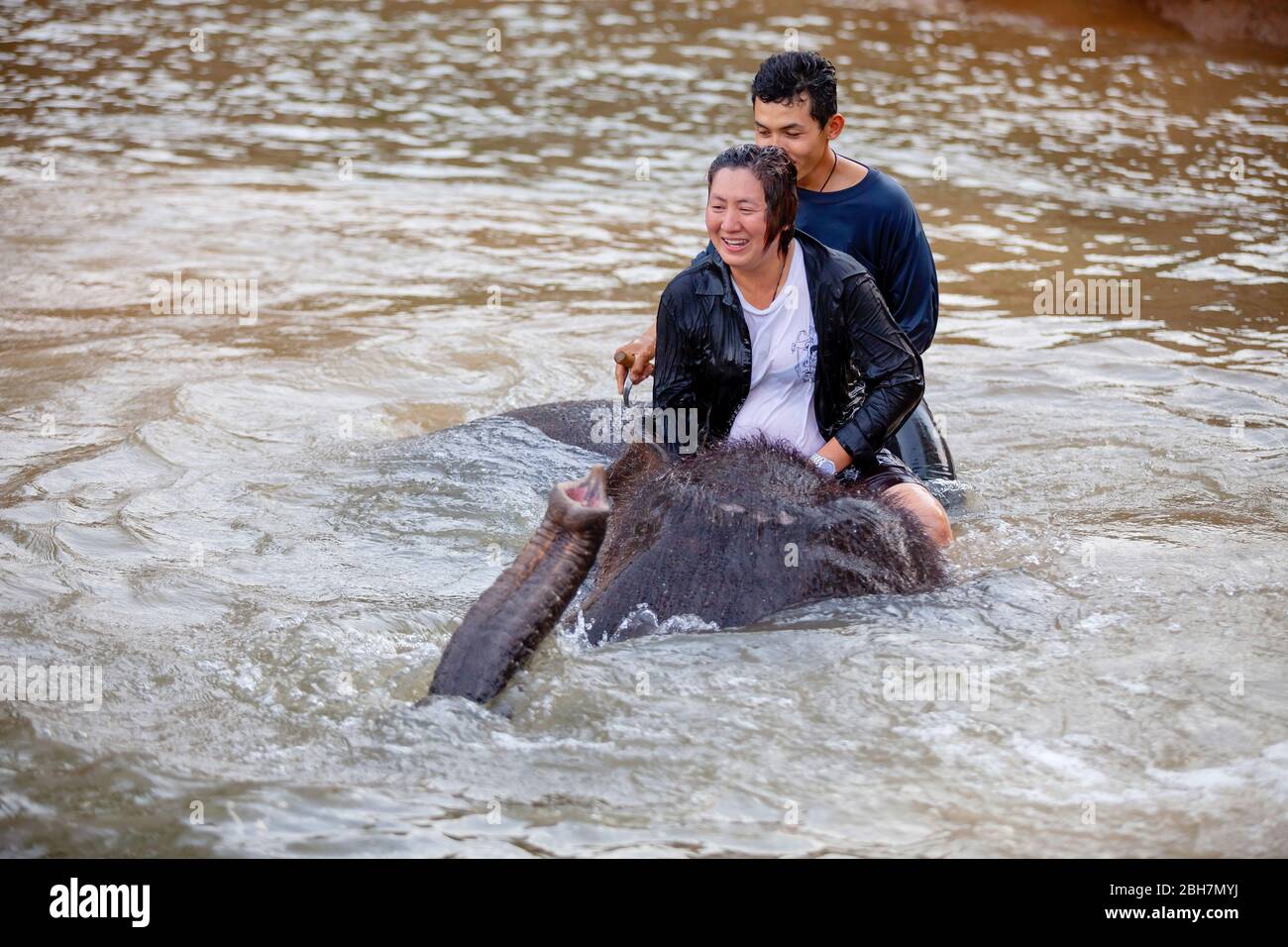 La femme thaïlandaise tour un éléphant pour prendre un bain à la rivière Kwae dans le camp d'éléphant de Kanchanaburi avec mahout d'éléphant. Kanchanaburi, Thaïlande Février Banque D'Images