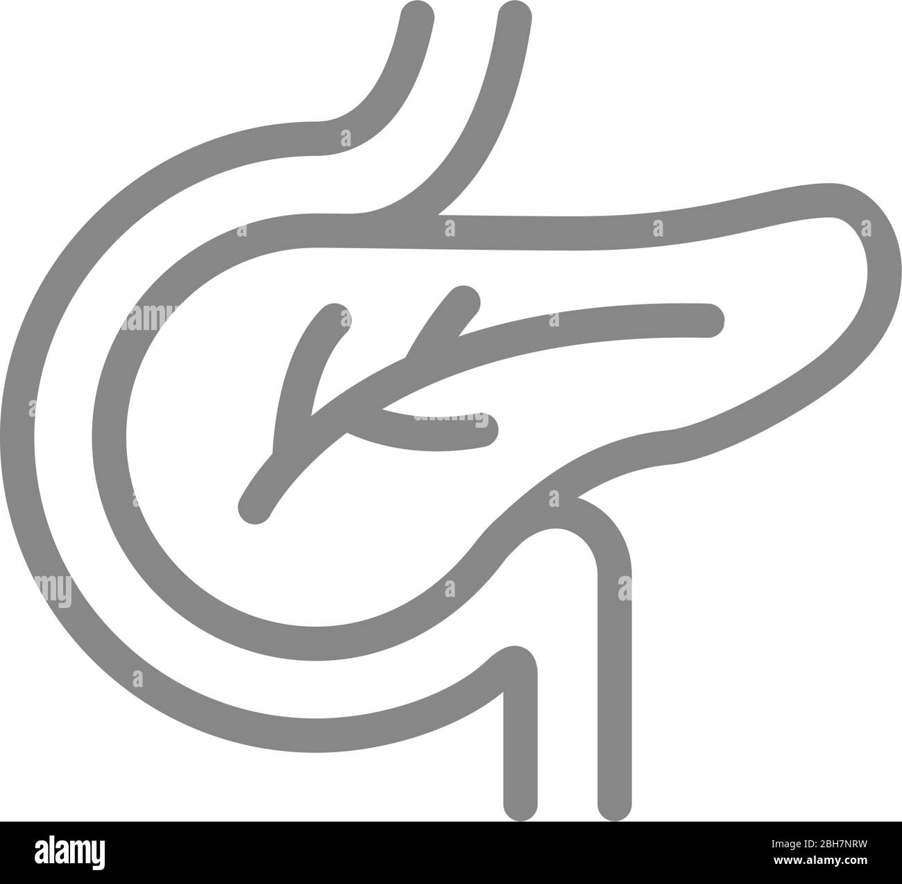 Icône de la ligne du pancréas humain. Symbole d'organe interne sain Illustration de Vecteur
