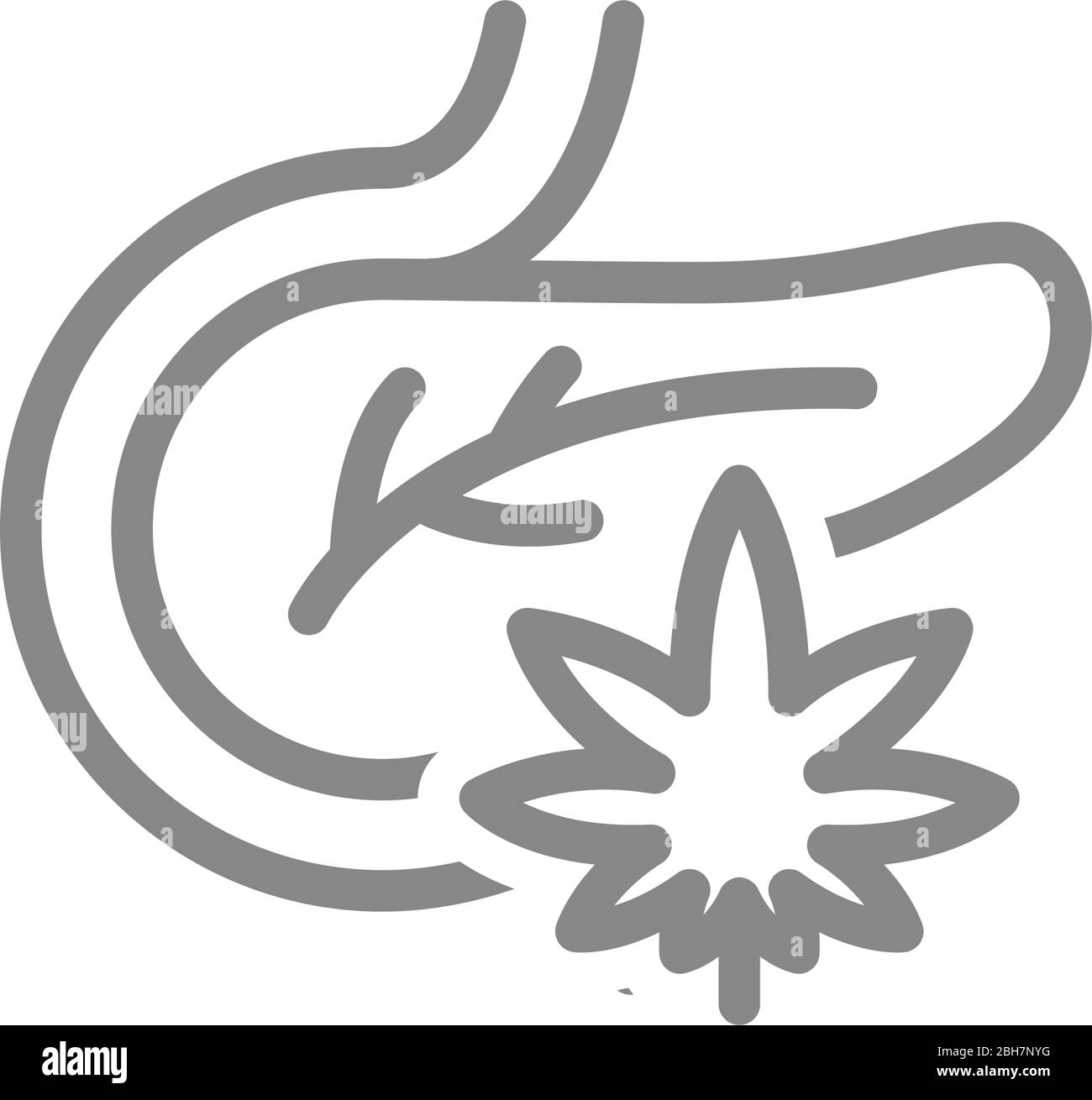 Pancréas humain avec icône de la ligne de feuille de marijuana. Traitement du cannabis, symbole d'anesthésie Illustration de Vecteur