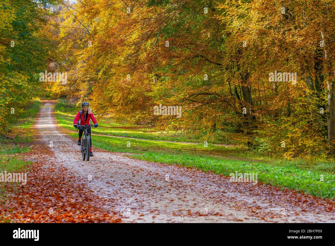 Belle femme senior qui monte son vélo de montagne électrique dans une forêt colorée d'automne de l'Alb souabe, Bade Wuerttemberg, Allemagne Banque D'Images