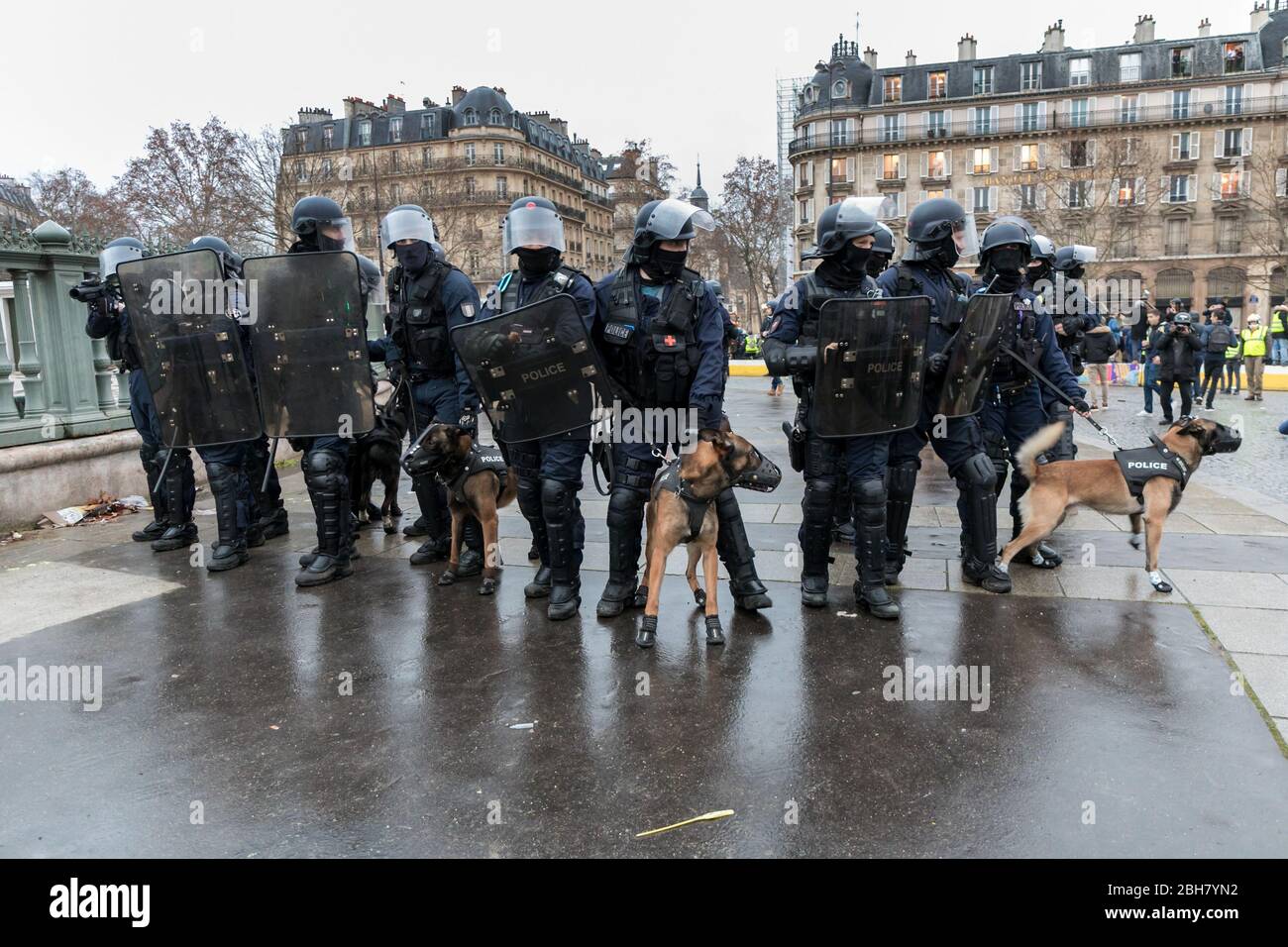 26.01.2019, Paris, Paris, France - Paris, France - unités de la gendarmerie lors de la manifestation jaune de la veste. 0MK190126D037CAROEX.JPG [VERSION DU MODÈLE Banque D'Images