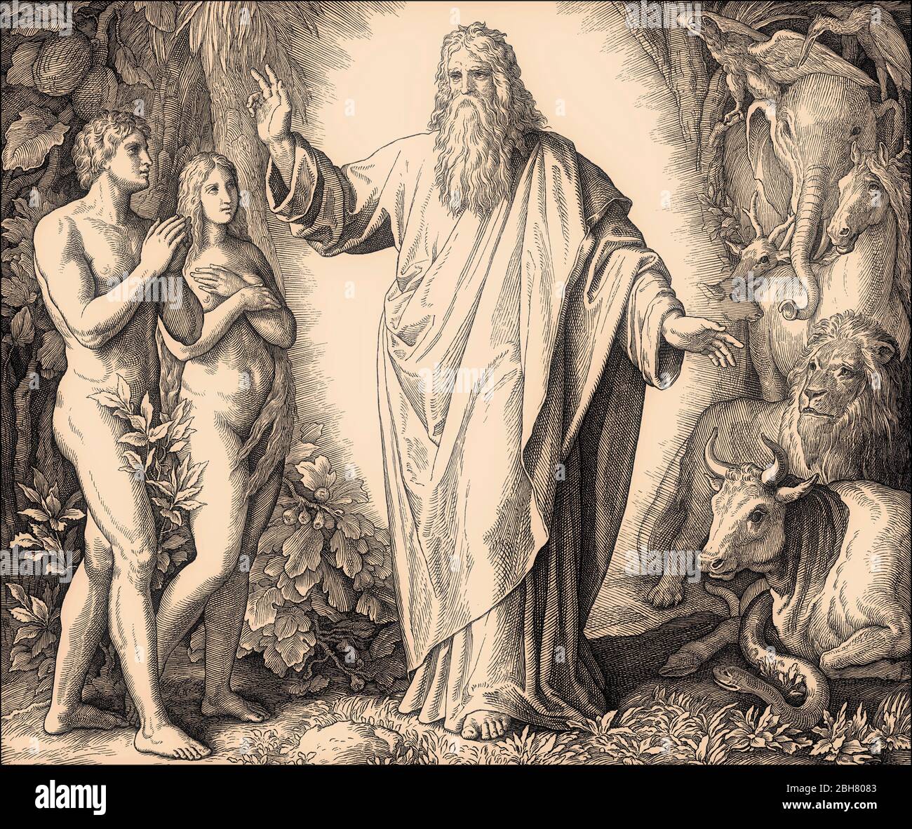 Création de l'humanité, par Julius Schnorr von Carolsfeld, 1860 Banque D'Images