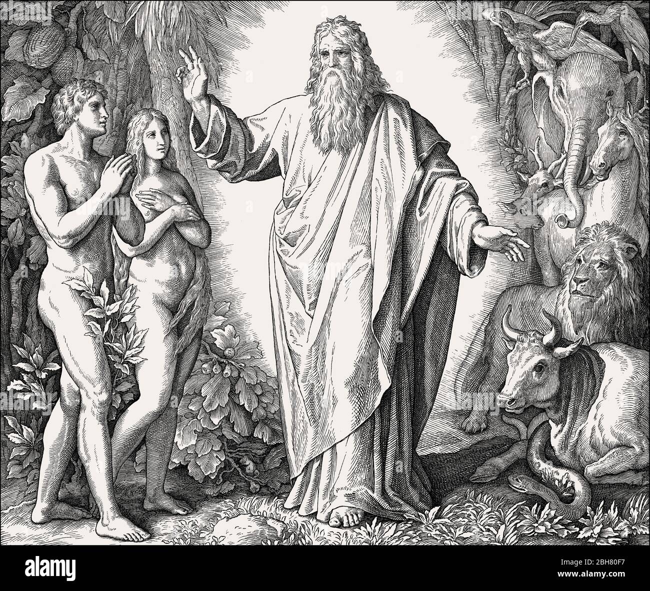 Création de l'humanité, par Julius Schnorr von Carolsfeld, 1860 Banque D'Images