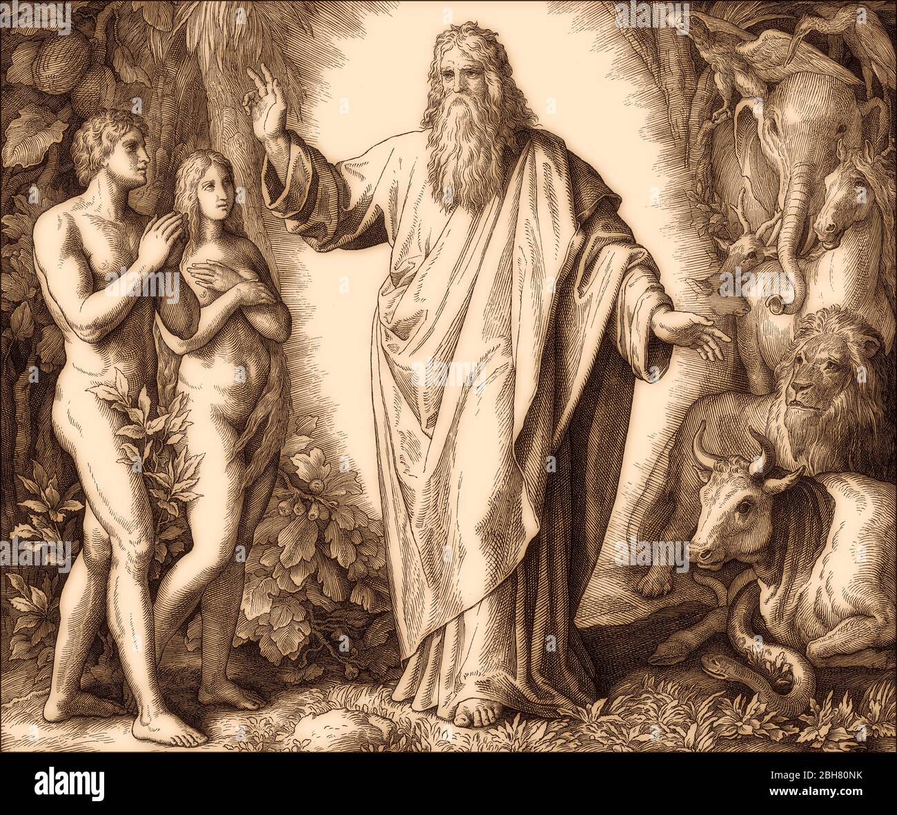 Création de l'humanité, par Julius Schnorr von Carolsfeld, 1860 Banque D'Images