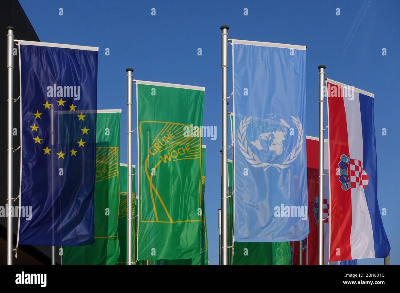 24.01.2020, Berlin, Allemagne - drapeaux de l'Union européenne, semaine verte internationale, Nations Unies et République de Croatie. 00S200124D4 Banque D'Images